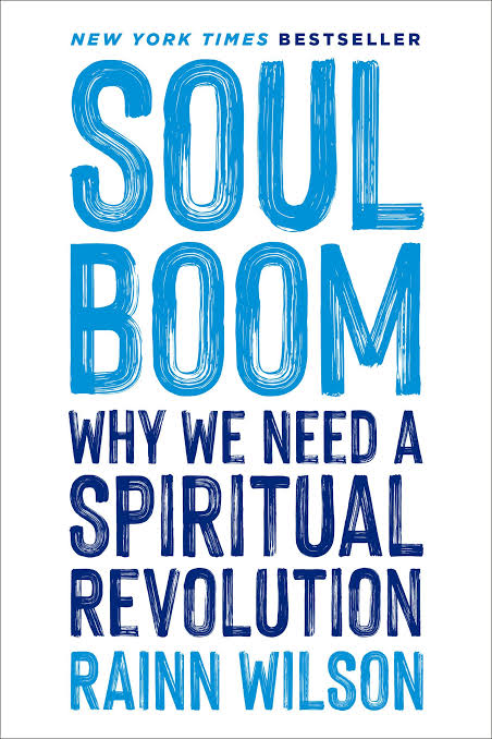 Rainn Wilson Soul Boom book preorder
